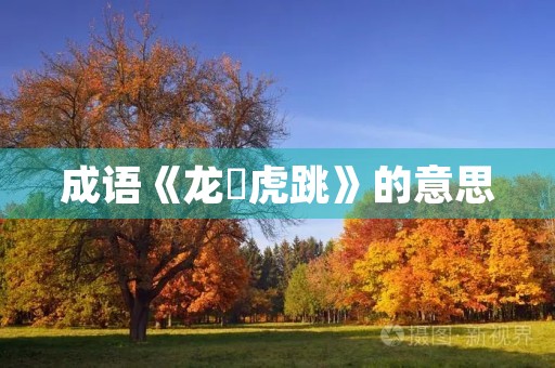 成语《龙拏虎跳》的意思