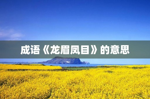 成语《龙眉凤目》的意思