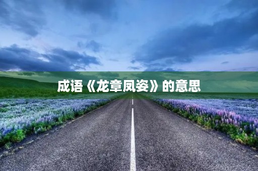成语《龙章凤姿》的意思
