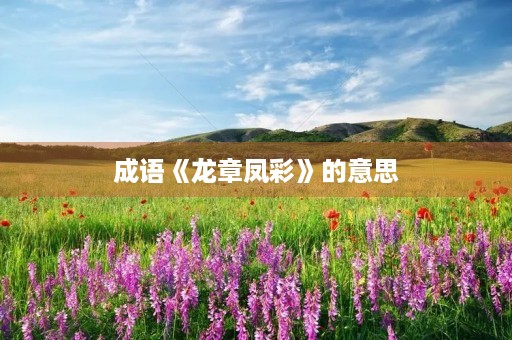 成语《龙章凤彩》的意思 成语《龙章凤彩》的意思