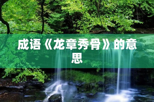 成语《龙章秀骨》的意思 成语《龙章秀骨》的意思