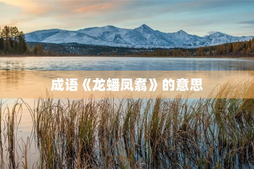 成语《龙蟠凤翥》的意思
