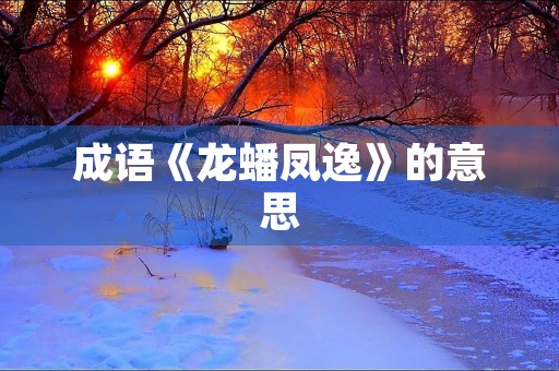 成语《龙蟠凤逸》的意思