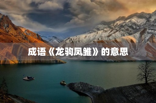 成语《龙驹凤雏》的意思 成语《龙驹凤雏》的意思