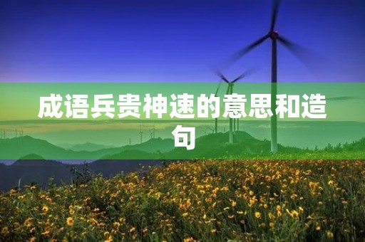 成语兵贵神速的意思和造句