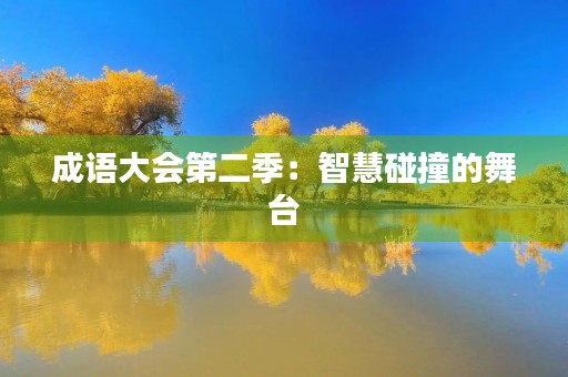 成语大会第二季:智慧碰撞的舞台 成语大会第二季:智慧碰撞的舞台