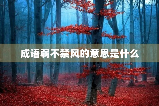 成语弱不禁风的意思是什么 成语弱不禁风的意思是什么