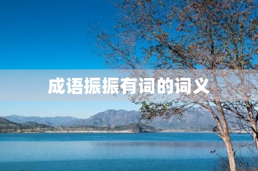 成语振振有词的词义