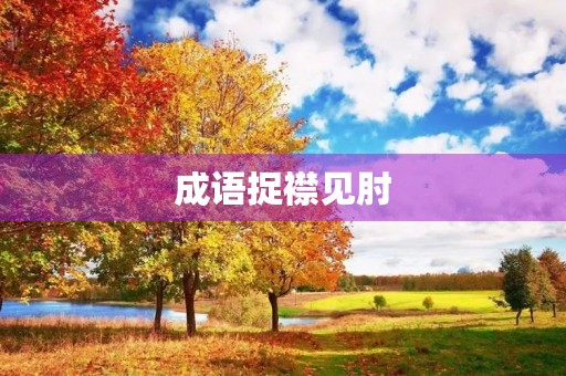 成语捉襟见肘 成语捉襟见肘