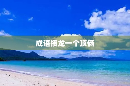 成语接龙一个顶俩