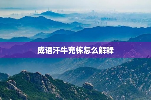 成语汗牛充栋怎么解释