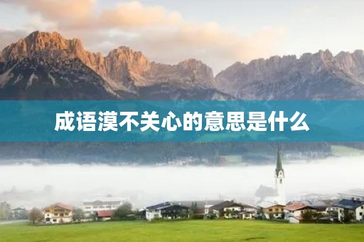 成语漠不关心的意思是什么