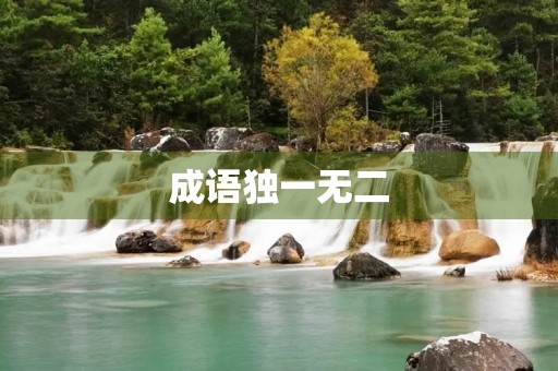 成语独一无二 成语独一无二