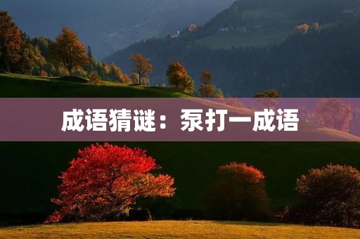 成语猜谜：泵打一成语