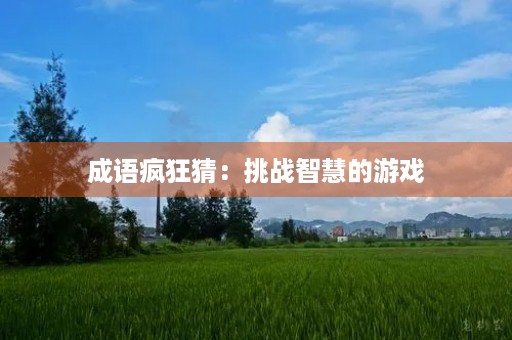 成语疯狂猜：挑战智慧的游戏