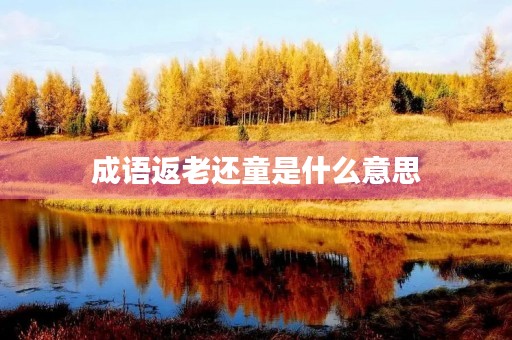 成语返老还童是什么意思