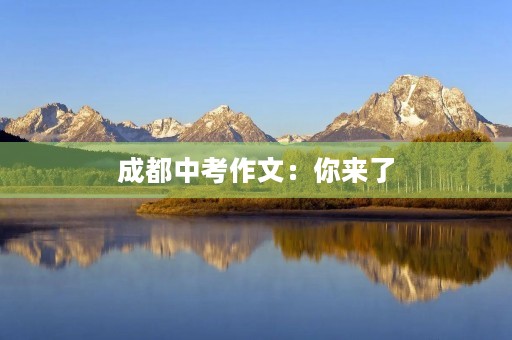 成都中考作文:你来了 成都中考作文:你来了
