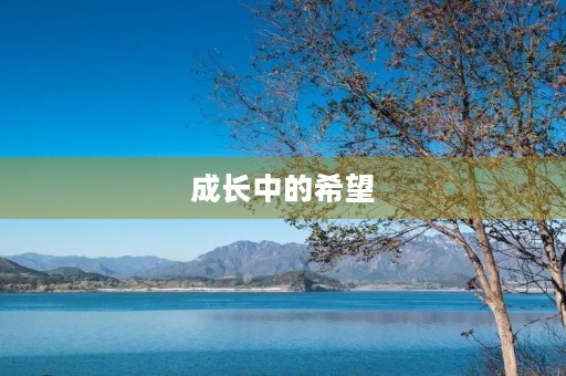 成长中的希望