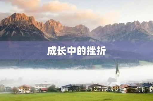 成长中的挫折