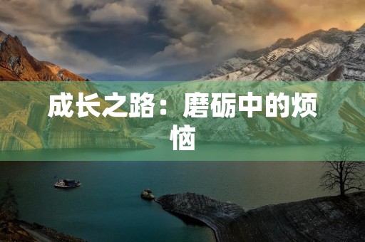成长之路：磨砺中的烦恼