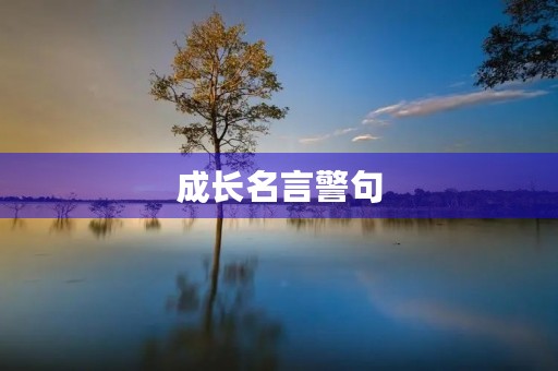 成长名言警句，个人成长名言警句
