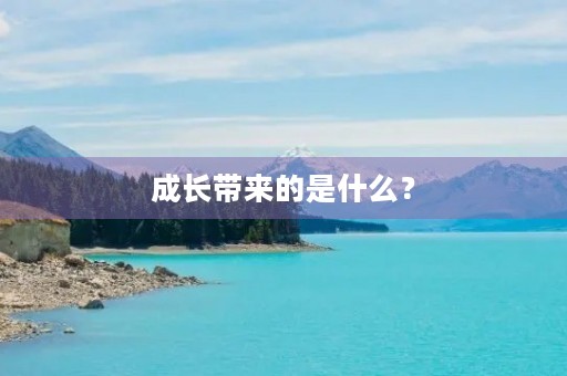 成长带来的是什么? 成长带来的是什么?