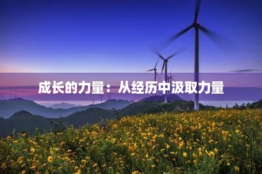 成长的力量：从经历中汲取力量