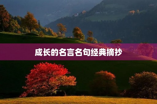 成长的名言名句经典摘抄(成长的名言名句经典摘抄少字) 成长的名言名句经典摘抄(成长的名言名句经典摘抄少字)