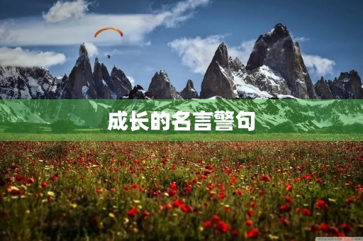 成长的名言警句,成长的名言警句摘抄大全 成长的名言警句,成长的名言警句摘抄大全