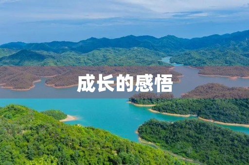 成长的感悟
