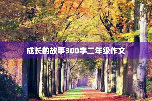 成长的故事300字二年级作文