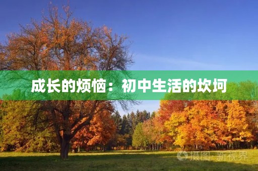成长的烦恼:初中生活的坎坷 成长的烦恼:初中生活的坎坷