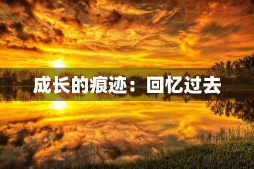 成长的痕迹：回忆过去，展望未来