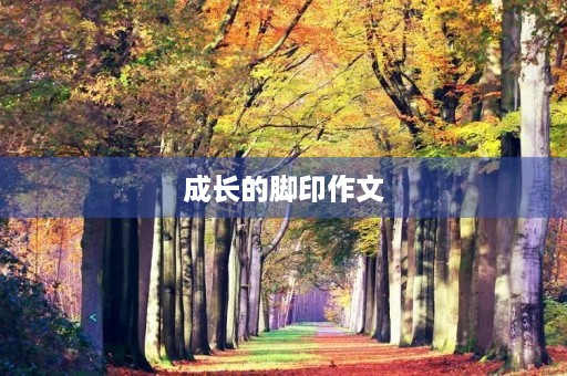 成长的脚印作文 成长的脚印作文