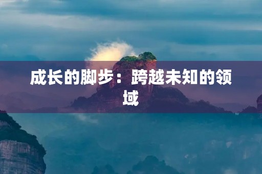 成长的脚步：跨越未知的领域