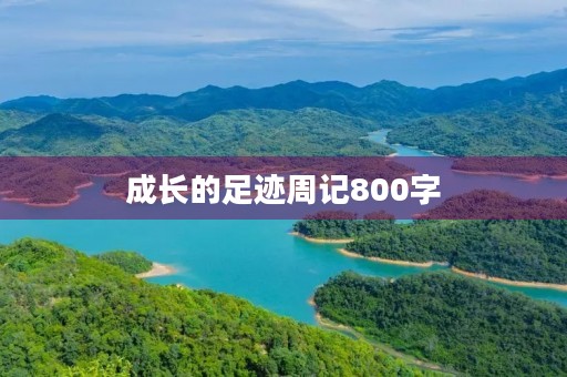 成长的足迹周记800字 成长的足迹周记800字