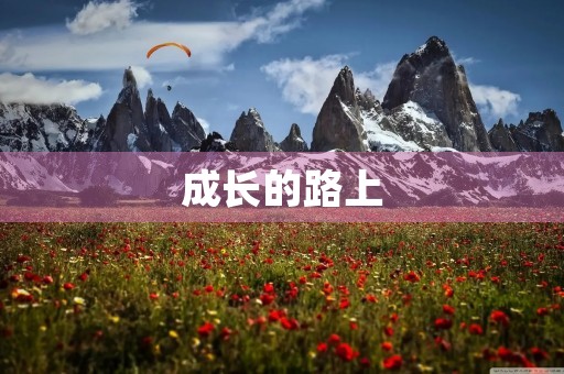成长的路上，我在成为更好的自己