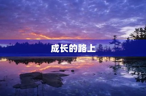 成长的路上