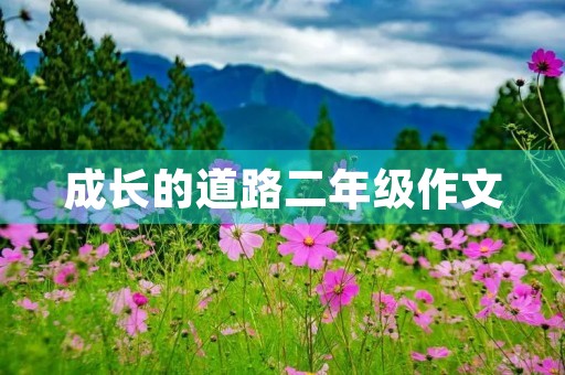 成长的道路二年级作文