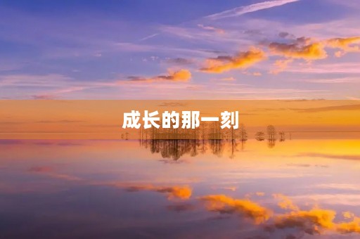 成长的那一刻 成长的那一刻