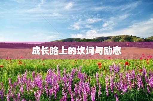 成长路上的坎坷与励志 成长路上的坎坷与励志