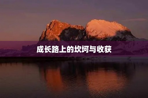 成长路上的坎坷与收获