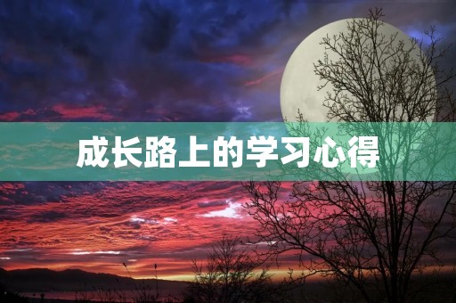 成长路上的学习心得