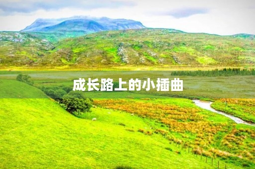 成长路上的小插曲 成长路上的小插曲