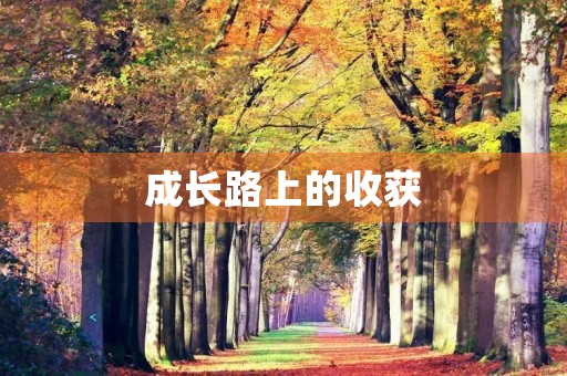 成长路上的收获 成长路上的收获