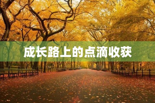 成长路上的点滴收获 成长路上的点滴收获