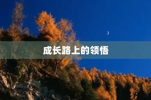 成长路上的领悟 成长路上的领悟