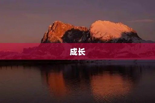 成长,从不放弃开始 成长,从不放弃开始