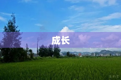 成长，伴七彩童年600字