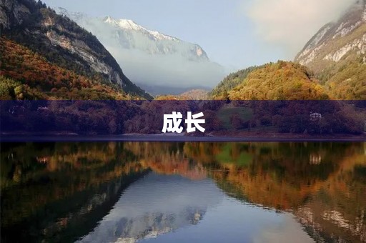 成长,是一场不断磨练的修行之旅 成长,是一场不断磨练的修行之旅